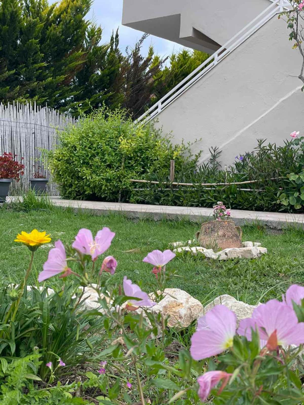 Aspasia Apartments シダリオン エクステリア 写真